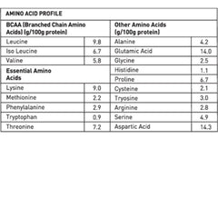 Avvatar Whey Protein 2 Kg, Free Shaker