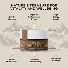Wellbeing Nutrition Shilajit Gold 20gm