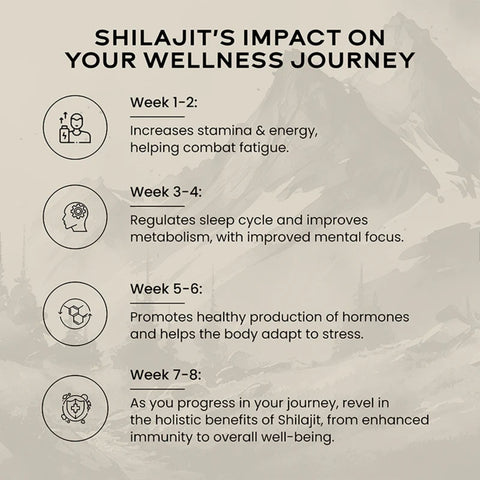 Wellbeing Nutrition Shilajit Gold 10gm